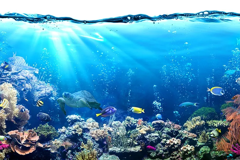 下呂温泉でホテルの宿泊を滞在目的にするアクアリウム